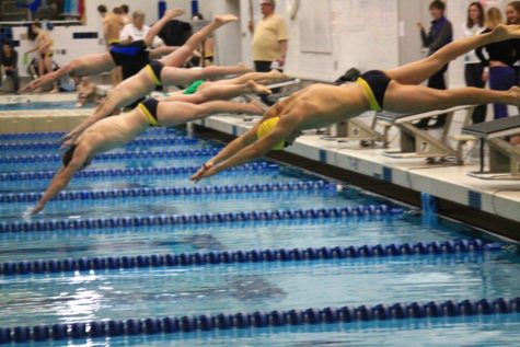 Swimming towards the final races