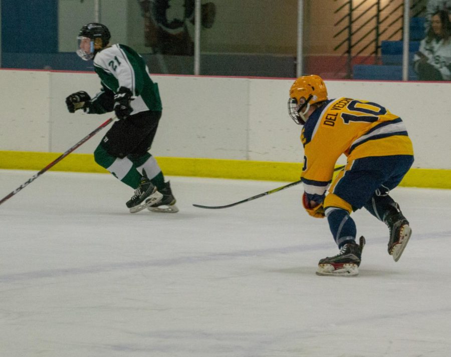 Forward Alex DelVecchio 19 races down the ice after #21 from the rival team, Jenison. 