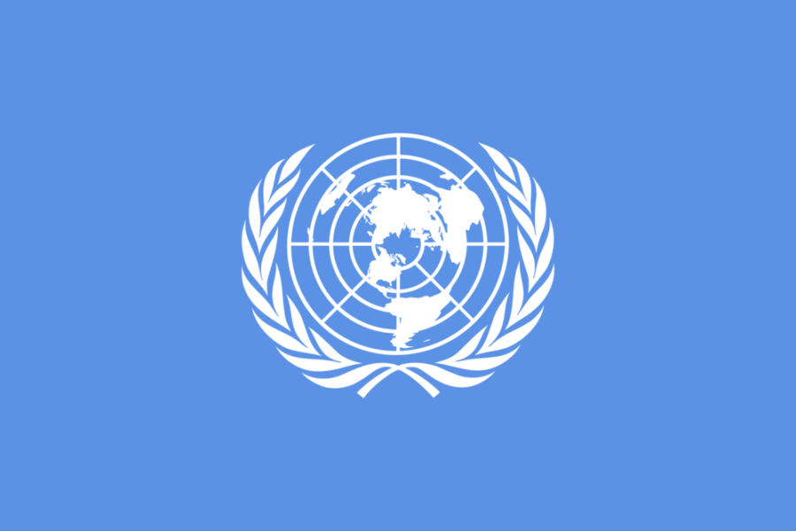 Model UN Eager to Continue Despite Restrictions