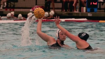 “Poolside glory”: water polo’s road to success under new coach