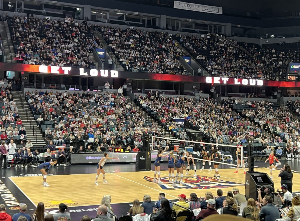 Grand Rapids athletics is on the rise with new professional volleyball team