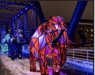 World of Winter brightens downtown